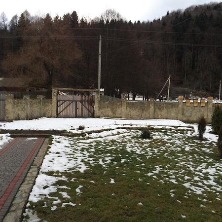 Guest House In Carpathians Mihovo Kültér fotó
